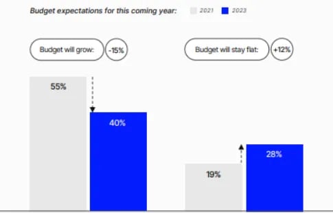 budget expectations