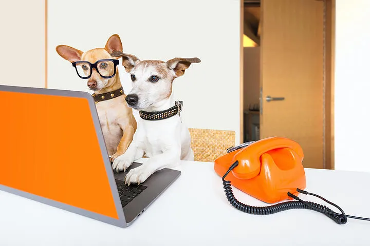 What is the potential reach of your comms channels?